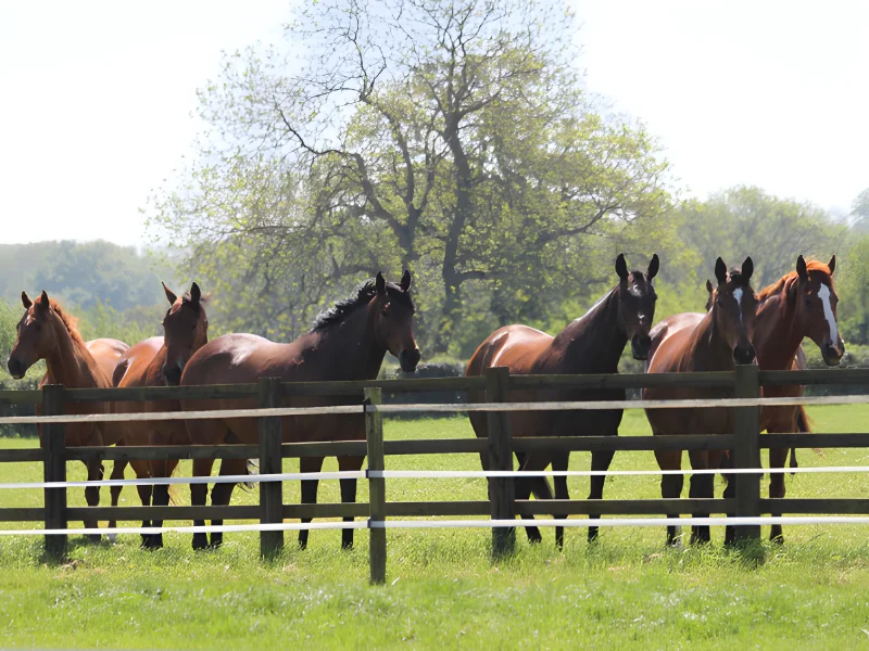 Greatwood ‘Get Going’ Programme